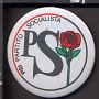 PIN'S SPILLA PARTITO SOCIALISTA PSI POLITICA GAROFANO