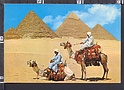 P4761 EGYPT GIZA PYRAMID GROUP CAMEL CAMMELLI