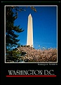 S7250 WASHINGTON DC MONUMENT PHOTO BY MARVIN H. WURTZ