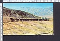 M3086 DEATH VALLEY NATIONAL TYPICAL TWENTY MULE TEAM OUTFIT VIAGGIATA FP