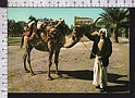 R792 IRAQ PAK ARCH OF CTESIPHON SALMAN ANIMAL CAMEL