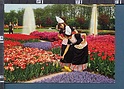 P5923 HOLLAND COSTUMES FLOWERS VG