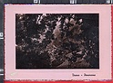 P1148 TIRANO SONDRIO PANORAMA rosa piccola asportazione sul bordo