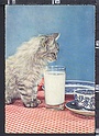 O6463 ANIMAL GATTO E BICCHIERE DI LATTE CAT MILK