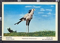 P4846 ANIMAL FAUNA AFRICANA SERPENTARIO ORISEAU AFRICAIN BIRD
