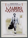 1044 Cinema 1995 L ALBERO DI ANTONIA MARLEEN GORRIS ANTONIA LINE Ciak