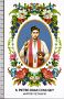 Xsa-10342 S. San PIETRO DOAN CONG QUY MARTIRE VIETNAM BUNG DAN-NOUC Santino Holy card