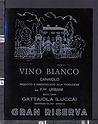 E07 Etichetta Bottiglia VINO BIANCO CANAIOLO GATTAIOLA LUCCA