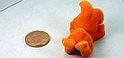 J77 xRetro