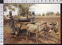 R701 SENEGAL WATER SYSTEM PHOTO R. DIOUF VG ANIMALS