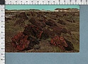 S513 NATIONAL PARK ARIZONA THIRD FOREST PETRIFIED FOREST VG SB FP