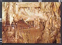 O4457 POSTOJNSKA JAMA Grotte di Postumia SLOVENIA CAVES VG