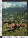 R3413 KLOSTERS GRISONS GEGEN MADRISAHORN ANIMAL COW MUCCHE