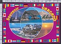 N7345 SOUVENIR GARGANO VEDUTE FLAGS (FOGGIA) Viaggiata
