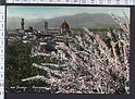 N1450 FIRENZE PANORAMA Viaggiata