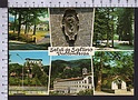 R3212 SALUTI DA SALTINO VALLOMBROSA FIRENZE VEDUTE