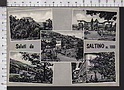 S5873 SALUTI DA SALTINO FIRENZE VEDUTE VG