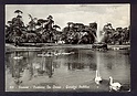 M2069 FIRENZE FORTEZZA DA BASSO GIRDINI PUBBLICI CIGNI VIAGGIATA
