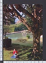 M5619 FIRENZE GIARDINI BOBOLI VASCA DEL NETTUNO ANIMAZIONE Viaggiata SB