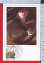 B5622 Italia MAXIMUM FDC 1985 FAUNA DA SALVARE LONTRA EUROPEA Lire 500 ANIMAL