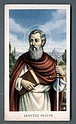 E314 Egim n. 244 S. PAOLO SANCTUS PAULUS