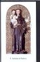 X333 S. ANTONIO DA PADOVA BASILICA SAN CRISOGONO - Santino Holy Card