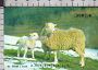 S2661 JAPAN PREPAID CARD ORANGE ANIMALI PECORE SHEEP